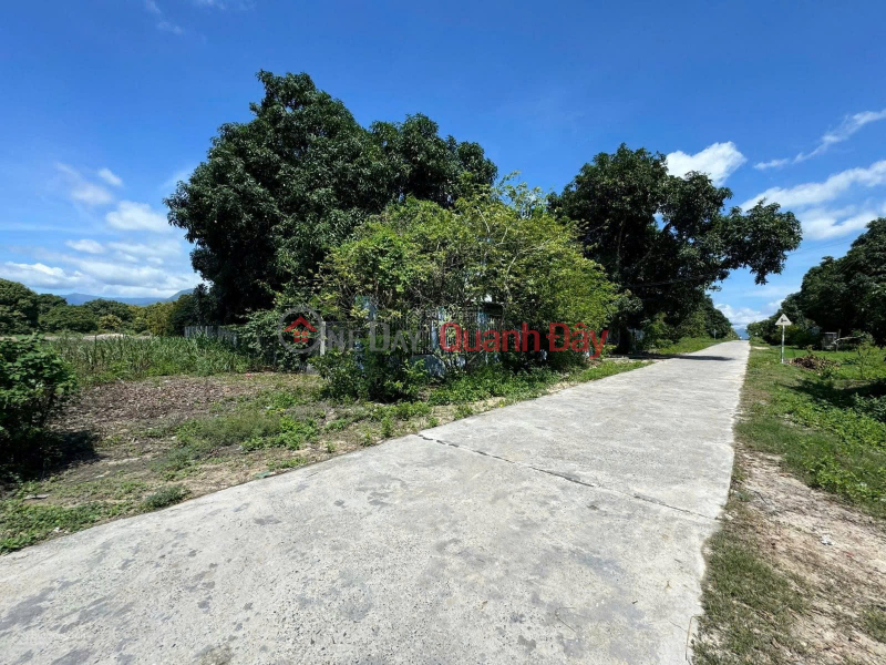 đ 9,4 tỷ Nhanh Tay Sở Hữu Ngay Lô Đất Tiềm Năng Đường số 6, Cam Thành Bắc, Cam Lâm, Khánh Hoà