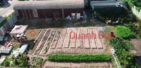 LAND LOT IN GOOD LOCATION - GOOD PRICE Need to sell quickly land lot in Cu Chi district, Ho Chi Minh City _0