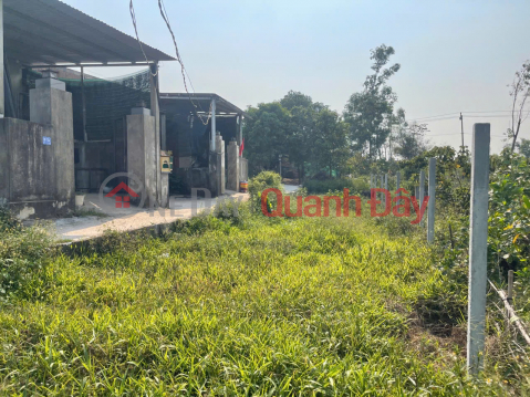Land for sale with street frontage in Thuy Phuong. _0
