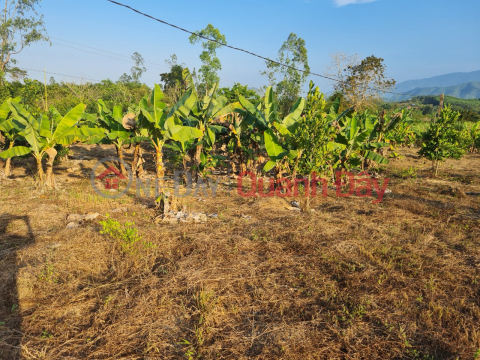 Lock for sale 2 beautiful lots of land at cheap price from only 850 million in Khanh Nam, Khanh Vinh _0