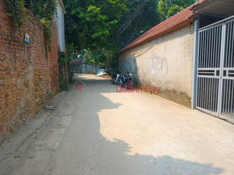 Property Search Vietnam | OneDay | Residential, Sales Listings | Son Dong Tien Phuong is a single lot with an area of 151m right on the main inter-commune road, with cars avoiding each other comfortably.