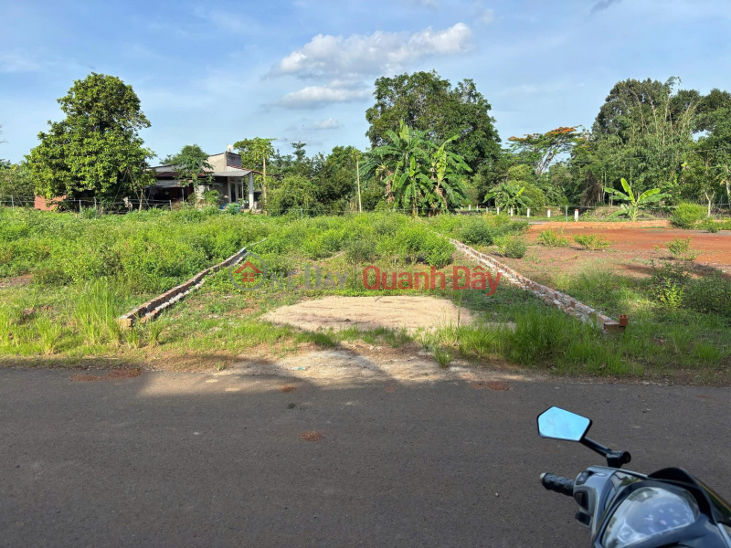 đ 670 Million | Urgent Sale: 5.3 x 25 meters, widening to 7 meters at the rear - Bau Chinh (new Kim Long commune),Ho Chi Minh City