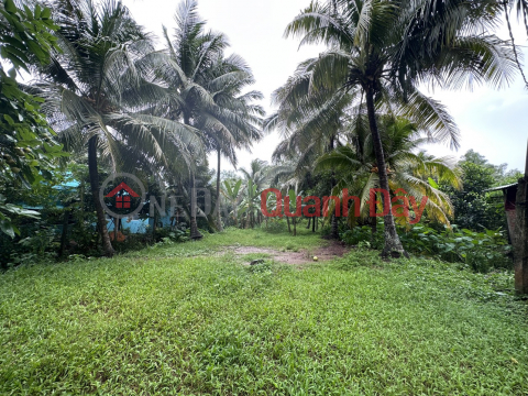 Land for sale in front of river at Chau Thanh, Ben Tre, 2.5km . from Rach Mieu Bridge _0