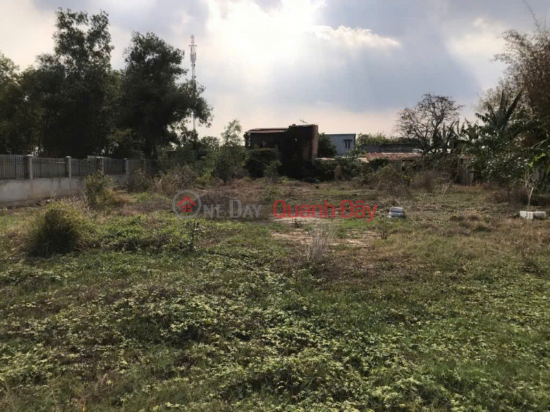 Đất Vuông SHR HXH 1440m2 – Trương Thị Như Hóc Môn Niêm yết bán