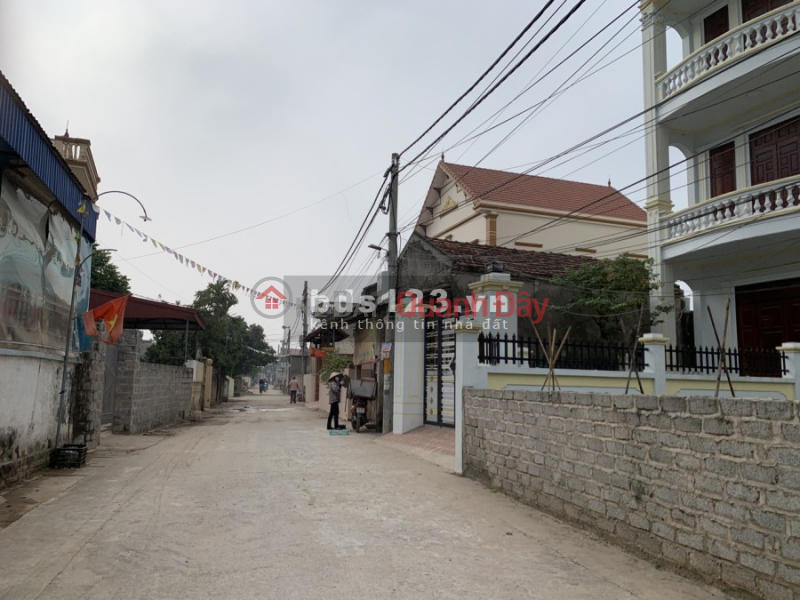 Selling 43m2 of Tu Nhien, Thuong Tin land for only a few hundred million Sales Listings