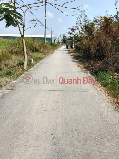 PRIME LAND – GREAT PRICE – OWNER NEEDS TO SELL URGENTLY In Phuoc Dong Commune, Can Duoc District, Long An Province _0