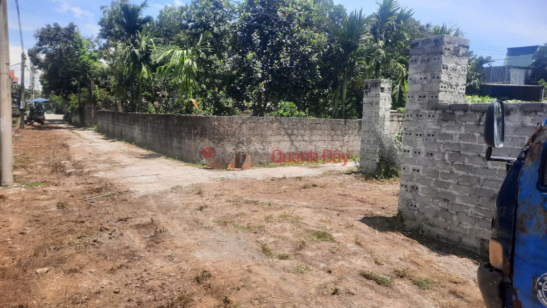 600m2, 28m frontage, garden land in Binh Luc, Ha Nam Sales Listings