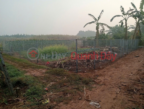Cần Bán Nhanh Lô Đất Vị Trí Đắc Địa Tại Đồng Lư, Đồng Quang, Quốc Oai, TP Hà Nội _0