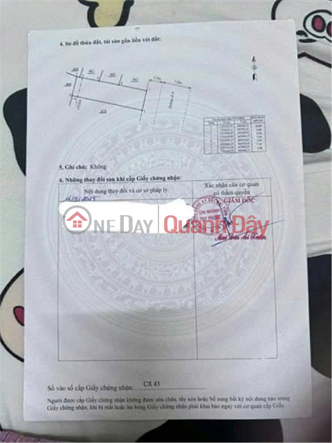 ĐẤT ĐẸP – GIÁ TỐT – CẦN BÁN ĐẤT TẠI xã Tuy Phước, huyện Tuy Phước, tỉnh Bình Định _0