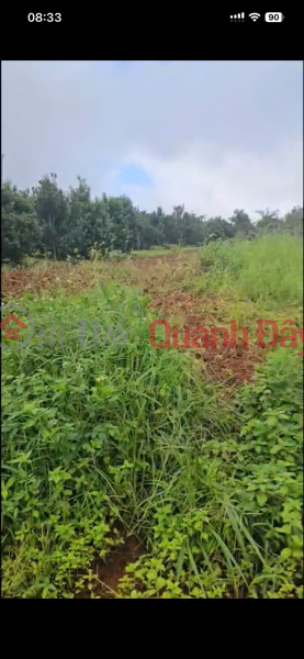 đ 1,2 tỷ, HOT HOT ĐẦU TƯ SINH LỜI– CHÍNH CHỦ CẦN BÁN ĐẤT TẠI xã đăk buk so, huyện Tuy Đức, tỉnh Đăk Nông