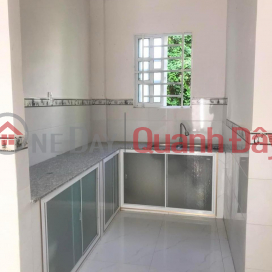 THUE1019 House for rent in 4 motorbike alley on Vo Thi Sau street _0