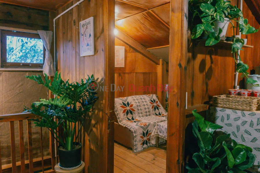 Property Search Vietnam | OneDay | Nhà ở Niêm yết bán, CẦN SANG HOMESTAY NHÀ GỖ SIÊU CHILL ĐÀ LẠT – ĐƯỜNG CAO BÁ QUÁT, P7, Đà Lạt Lâm Đồng