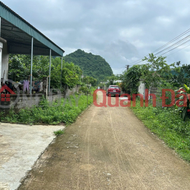 370tr có ngay 122m2 (110m² TC) tại Yên Trị - Yên Thủy - Hòa Bình - Đất đẹp sẵn sổ _0