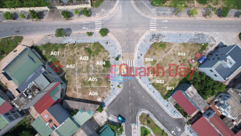 Tam Xa Dong Anh auction on September 16, 2023 _0