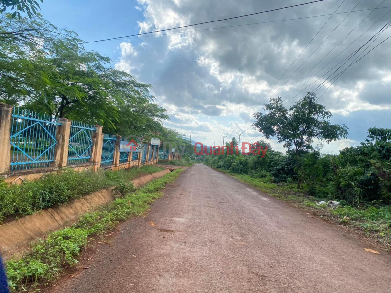 Property Search Vietnam | OneDay | Residential Sales Listings | OWN A BEAUTIFUL LOT OF LAND NOW - GOOD PRICE IN Ia Phang Commune, Chu Puh District, Gia Lai