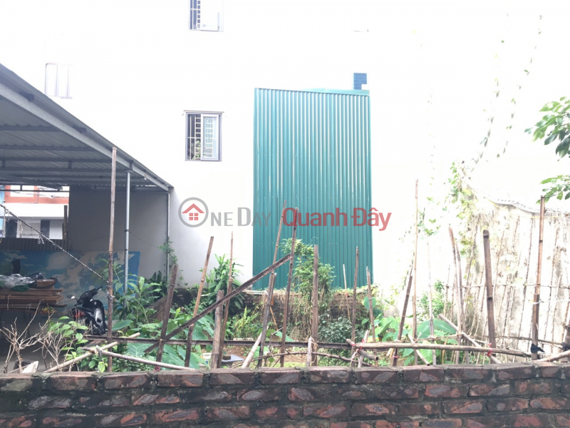 Land for sale in Duong Noi, Ha Dong next to Cam Sat University, 48m2, MT5m, car to the house, price 2.9 billion Vietnam | Sales đ 2.9 Billion