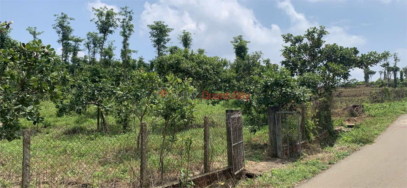 BEAUTIFUL LAND - PROFITABLE INVESTMENT - Owner sells land lot in Xa Bang, Chau Duc, Ba Ria Vung Tau. Sales Listings