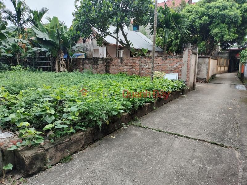 Property Search Vietnam | OneDay | Residential, Sales Listings, Area of 50.8m full residential area of Thuy Huong Front = back 3.72m, no feng shui errors Shallow alley, car