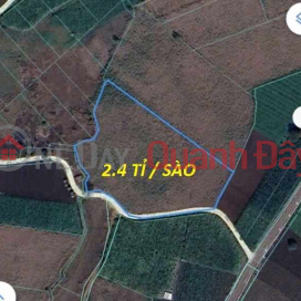 Land for sale by owner - Lang Dai Commune - Ba Ria Vung Tau _0