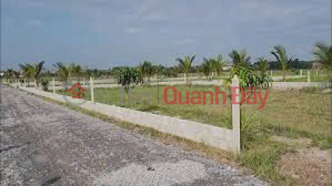 Land transfer at the frontage of Road No. 20, Lac Tanh Town, Tanh Linh District, Binh Thuan Province. (Exactly 500 meters from National Highway 55) _0