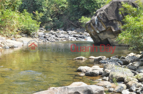 HOT HOT HOT –CHÍNH CHỦ CẦN BÁN ĐẤT Đường Quốc Lộ 20, Xã Đạ Huoai 2 (mới),H.Đạ Huoai (cũ),Lâm Đồng _0