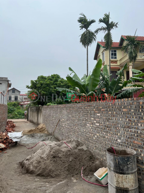 Land for sale in Dai Mai Mach Lung, Dong Anh, 153m, corner lot, car road to the land _0