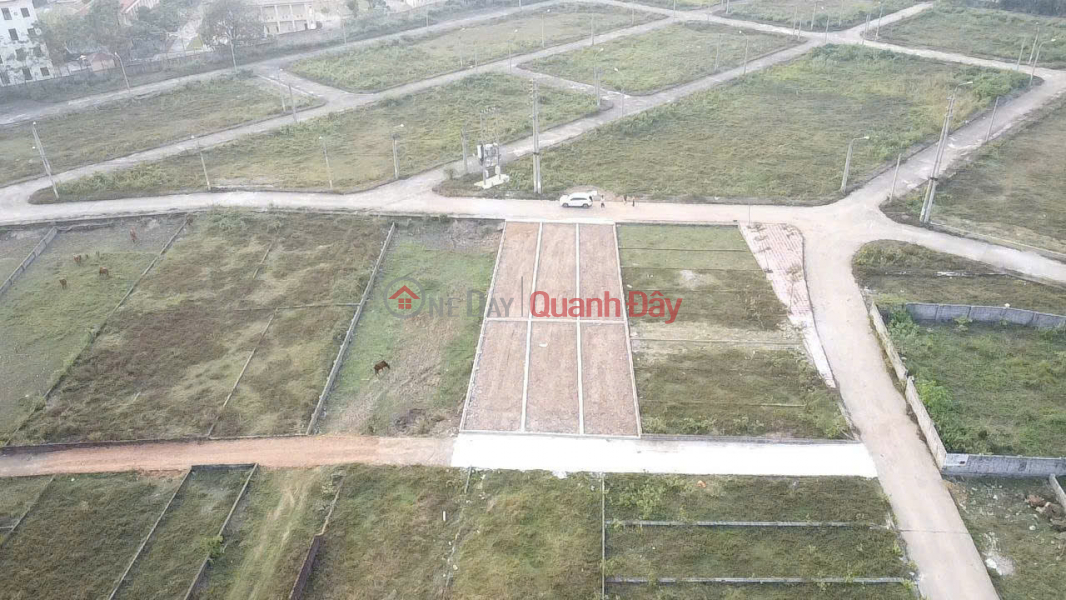 Residential land for sale, area 91.9m2 Hoa Lac, Binh Yen, Thach That, Hanoi, Vietnam Sales, đ 4.2 Billion