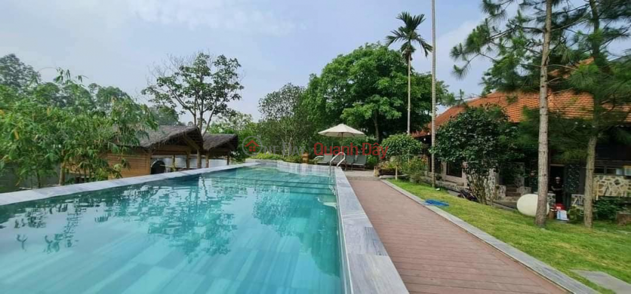 Property Search Vietnam | OneDay | Residential | Sales Listings Villa for sale 3500m2 in Dai Lai, Ngoc Thanh, Phuc Yen City