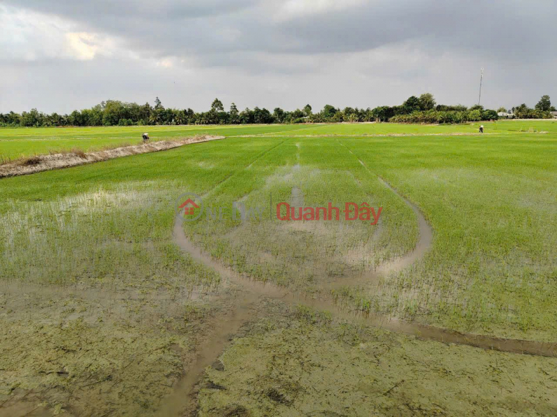 đ 1,1 tỷ, CƠ HỘI ĐẦU TƯ GIÁ TỐT - Chính Chủ Bán 2 Mảnh Đất Nông Nghiệp xã Tân Phú Trung, Châu Thành, Đồng Tháp