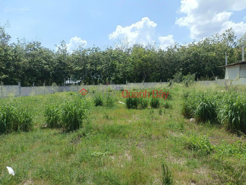 Property Search Vietnam | OneDay | Residential, Sales Listings, OWNER SELLING 4,714.6M2 LAND WITH TITLE DEED RIGHT AT THE GATE OF MINH HUNG III INDUSTRIAL PARK