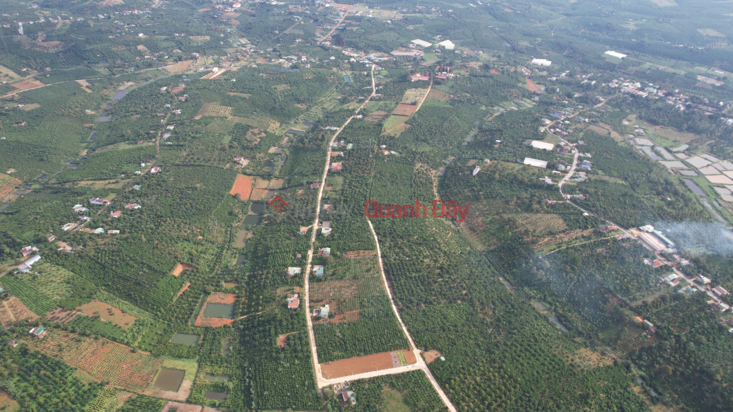Bán gấp lô đất 120m2 thổ cư ngay KND LÀNG XANH - LỘC ĐỨC - BẢO LỘC - 400tr SHR, Việt Nam, Bán | đ 750 triệu