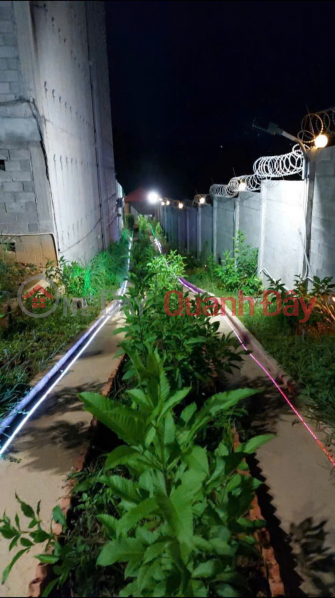 Property Search Vietnam | OneDay | Nhà ở, Niêm yết bán | Chính Chủ Bán Nhà Đất Có Sẵn Nhà Yến Diện Tích 1249m² Tại Nam Cát Tiên, Tân Phú, Đồng Nai