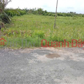 Owner Sells Land on Vam Bi Road - Truong Hoa - 4 Tong, Phong Dien, Can Tho City _0