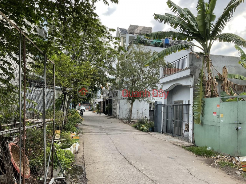 Property Search Vietnam | OneDay | Residential Sales Listings, Owner Needs To Sell Land Lot At Thoi Tam Thon Street 17, Thoi Tam Thon Commune, Hoc Mon District, HCM