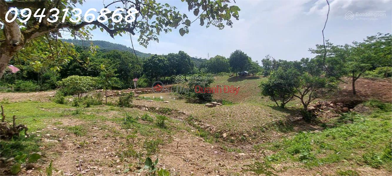  | Làm ơn chọn, Nhà ở, Niêm yết bán đ 23,1 tỷ