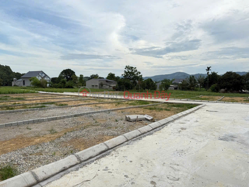 Launching 19 Thanh Minh Land Fund Lots, Only 200 million to own a lot of land with 5m-6m frontage, 150m2 Sales Listings