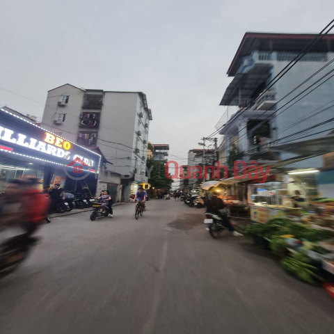 Super nice corner lot of 50.5m2 with car access in Dang Xa, Gia Lam, Hanoi. _0