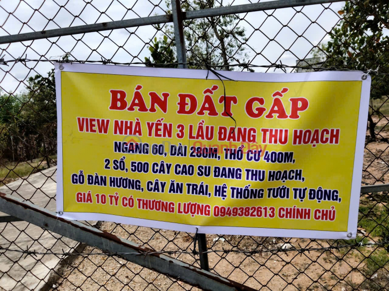 đ 10 tỷ ĐẦU TƯ LÀ SINH LỜI - CHÍNH CHỦ CẦN BÁN ĐẤT VIEW NHÀ YẾN – Xã Trà Tân, Bình Thuận