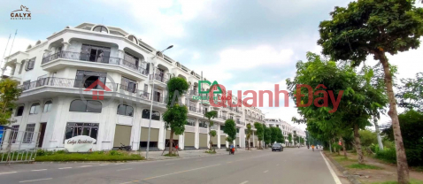 Selling adjacent villa project 319 Dong Anh district good price in 2023 _0