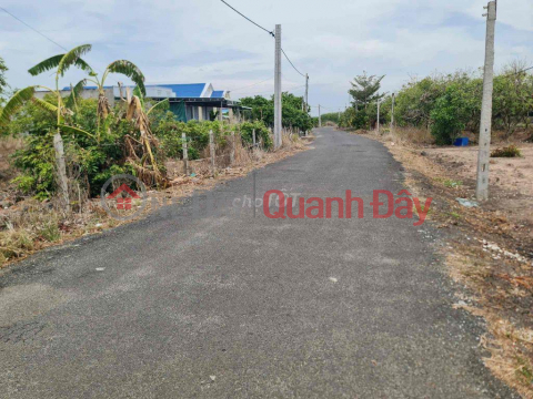 OWNER For Sale Land With Asphalt Road Frontage In Binh Chau Commune, Xuyen Moc District, Ba Ria Vung Tau _0