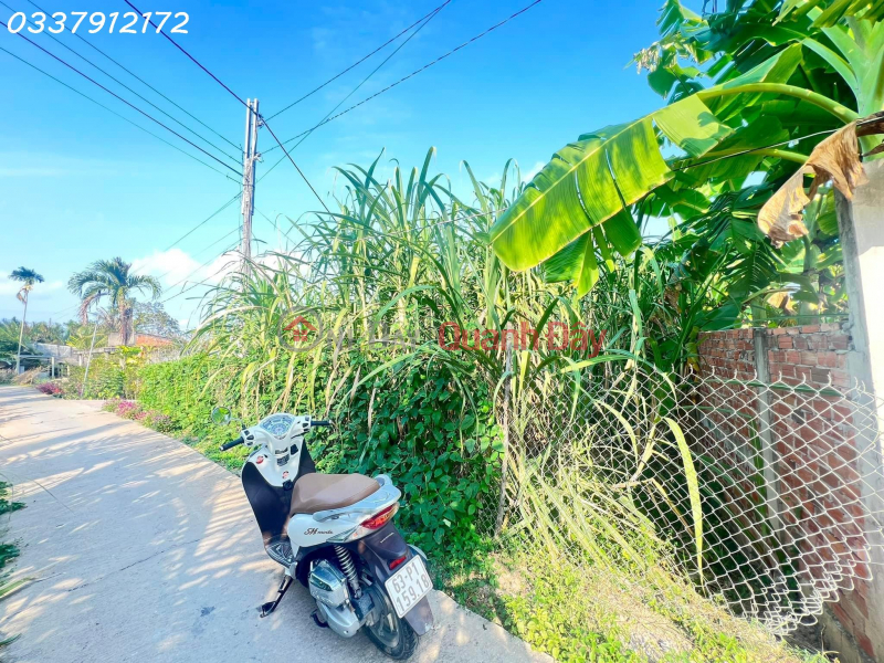 OWNER SELLING 03 NEXT LOT OF LAND URGENTLY IN BEAUTIFUL LOCATION At Mang Thit, Vinh Long | Vietnam | Sales, ₫ 550 Million
