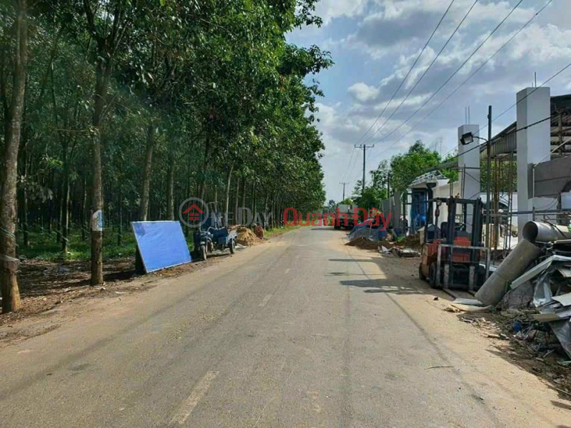 Property Search Vietnam | OneDay | Office / Commercial Property, Sales Listings, Selling a beautiful 2-front factory in operation in LONG DUC - LONG THANH commune. DONG NAI 0938974428