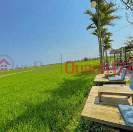 Hoa Vang land has a lot of potential, the price is cheap, only 410 million to own _0
