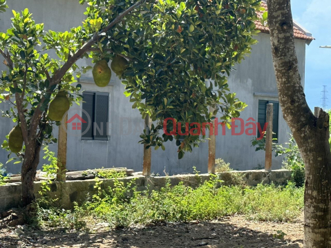 BEAUTIFUL LAND - GOOD PRICE – GENERAL Sold Fast Land Lot In Son Ha commune, Son Hoa district, Phu Yen province _0