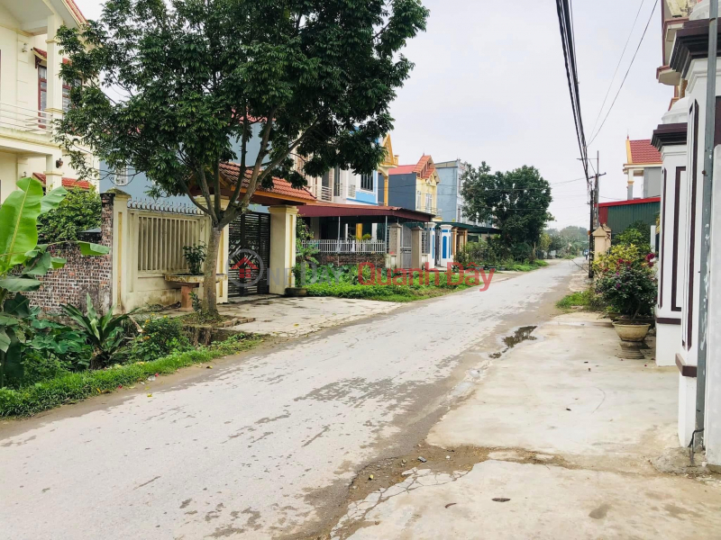 URGENT SALE Street Front Land Plot - Ung Hoe Land (Old Ninh Hoa Commune) Ninh Giang District, Hai Duong Sales Listings