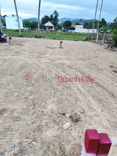 Land for sale, frontage on Lac Hoa 1, Dien Hoa, Dien Khanh, Khanh Hoa, 20m wide _0