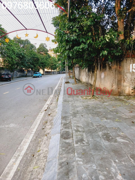 Property Search Vietnam | OneDay | Residential Sales Listings | EXTREMELY RARE: WALKING STREET in front of Pho Yen old square, only 1 plot of land over 1000m2 full residential price