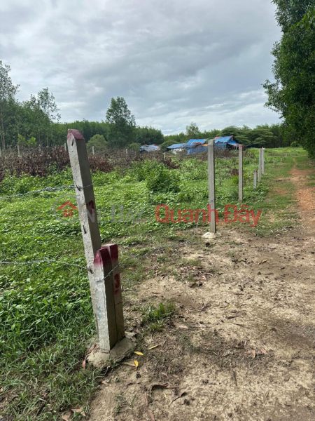 Property Search Vietnam | OneDay | Residential | Sales Listings Hot goods! Open Lock Sale of 4 cheap plots of land from only 185 million\\/lot in Dien Xuan commune, Dien Khanh, Khanh Hoa.