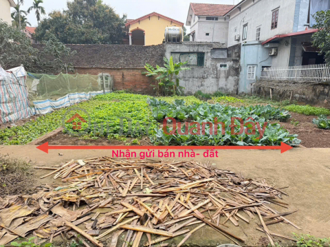 Potential residential land for sale in Village 1, Thach Da, Me Linh, Hanoi - Golden location, attractive investment price! _0