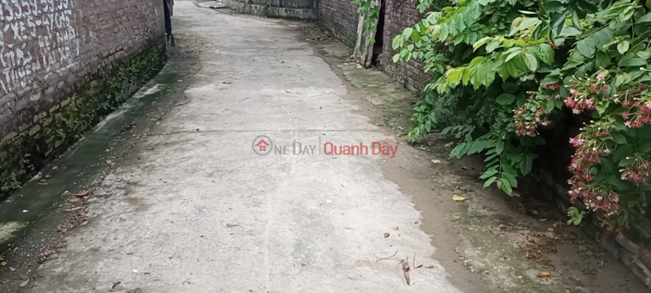 Property Search Vietnam | OneDay | Residential, Sales Listings | BEAUTIFUL LAND - GOOD PRICE - Urgent Sale Beautiful Land Lot In Hamlet 5, Trang Viet Commune, Me Linh, Hanoi